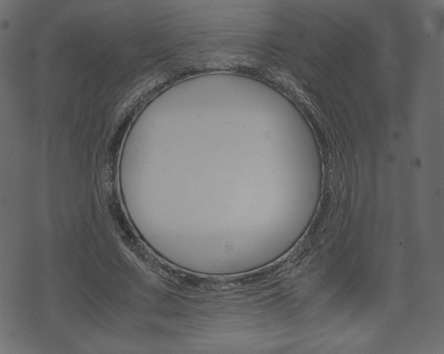 X0000071780683200606300917