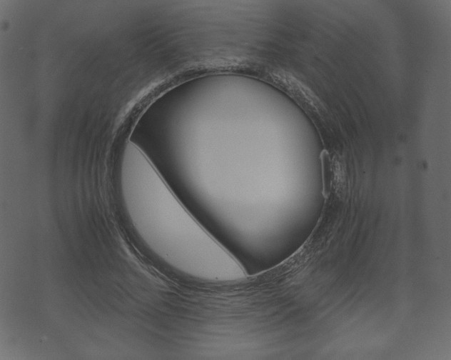 X0000071780684200606300917