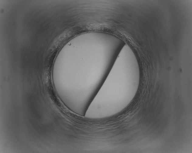 X0000071780687200606300917