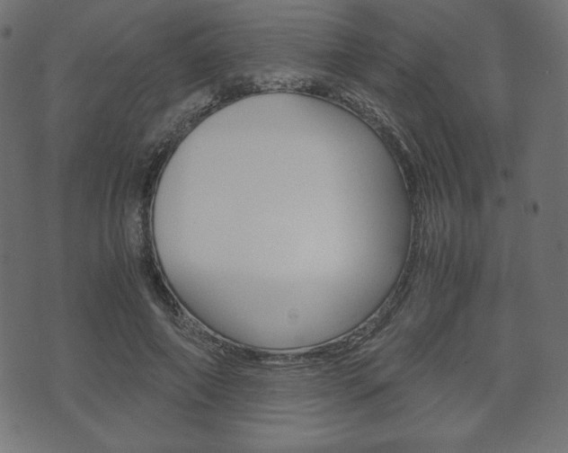 X0000071780690200606300917