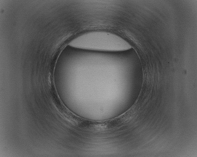 X0000071780692200606300917