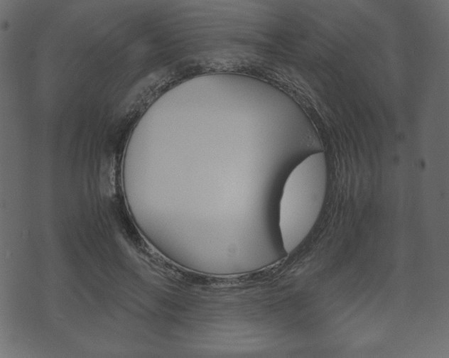 X0000071780694200606300917