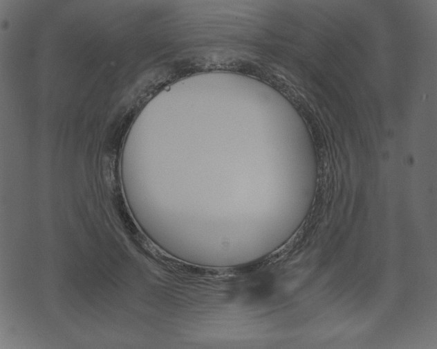X0000071780695200606300917