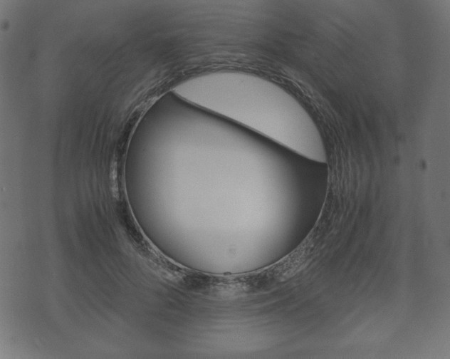 X0000071780696200606300917