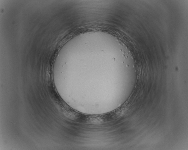 X0000071780702200606300917
