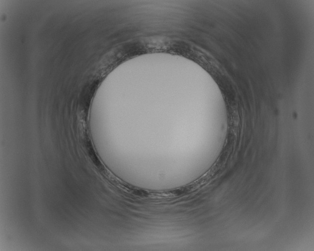 X0000071780707200606300917