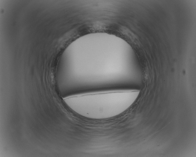 X0000071780715200606300917