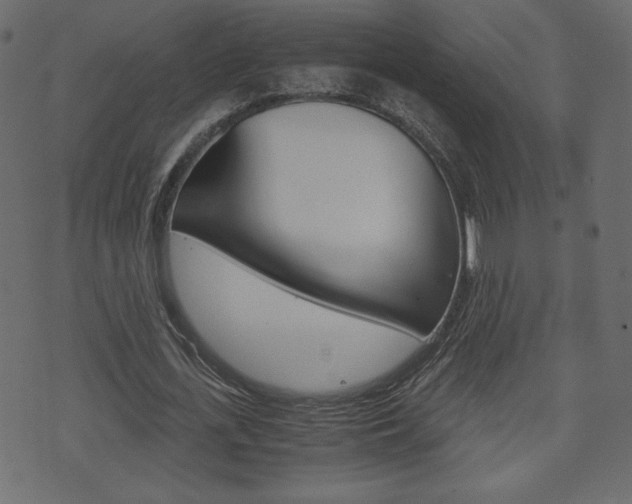 X0000071780723200606300916