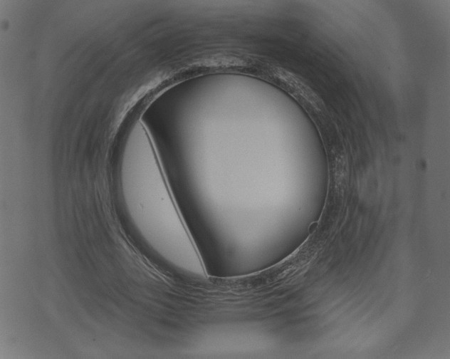X0000071780727200606300916