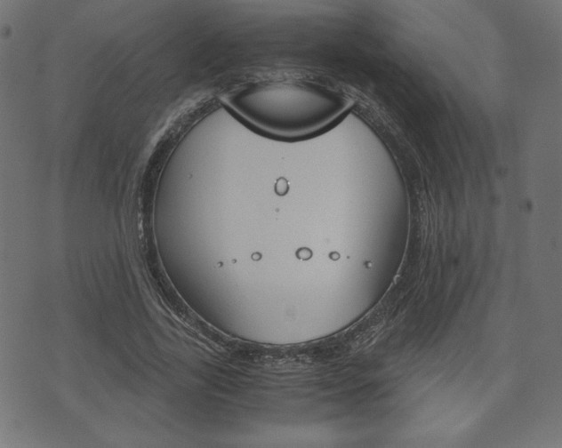 X0000071780731200606300916
