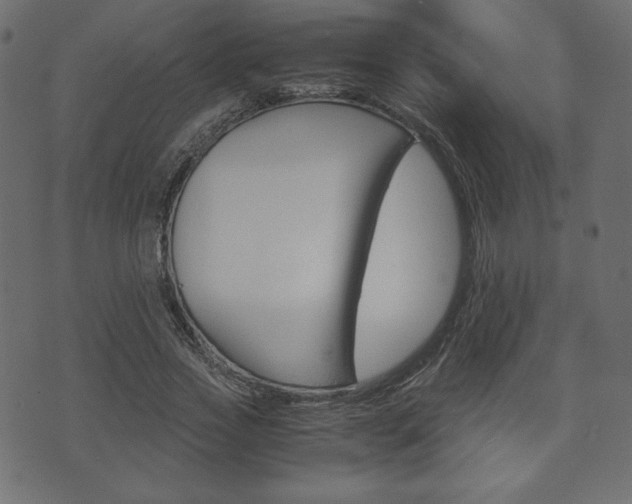 X0000071780733200606300916