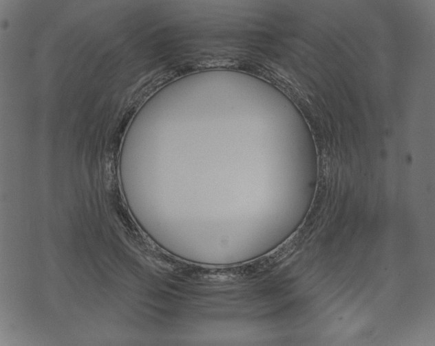 X0000071780741200606300916