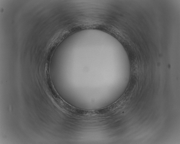 X0000071780742200606300916