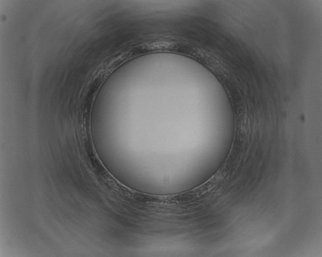 X0000071780743200606300916