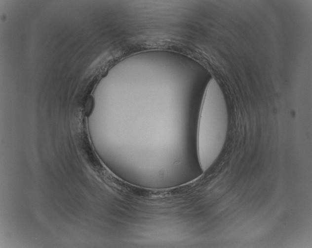 X0000071780744200606300916