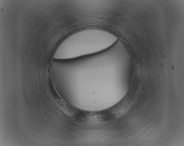 X0000071780746200606300916