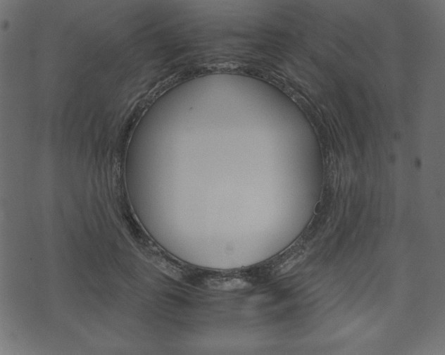 X0000071780747200606300916