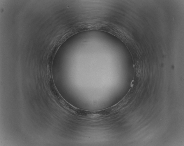 X0000071780748200606300916