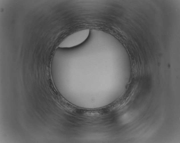 X0000071780749200606300916