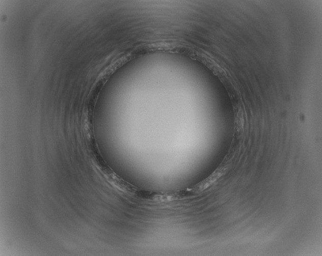 X0000071780764200606300917