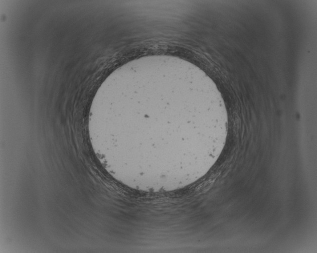 X0000071780769200606300916