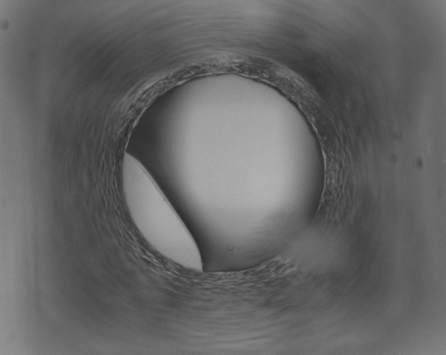 X0000071780773200606300916