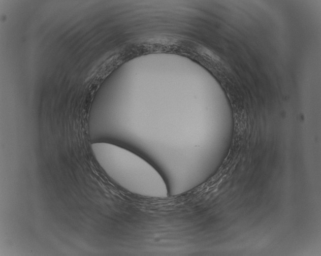 X0000071780774200606300916