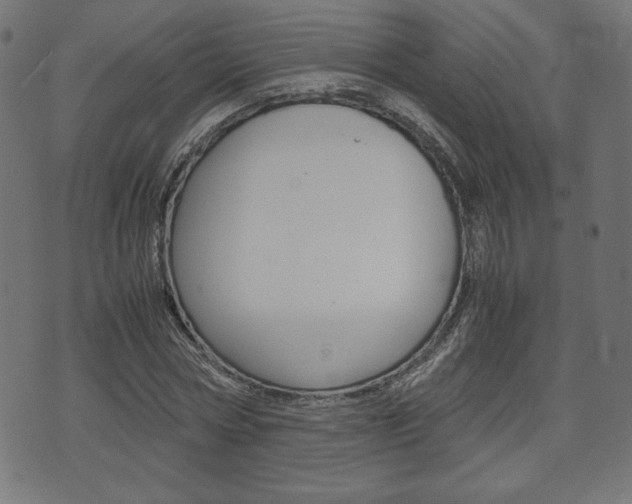 X0000071780778200606300916