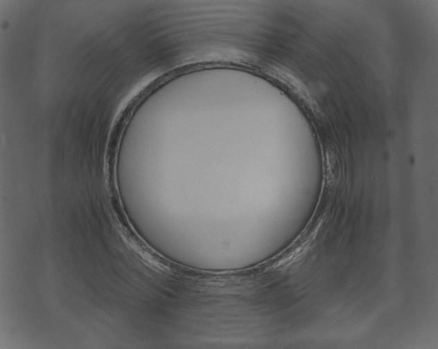 X0000071780780200606300916