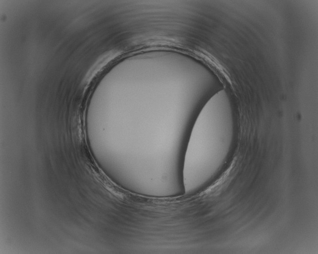 X0000071780782200606300916