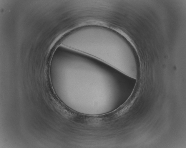 X0000071780783200606300916