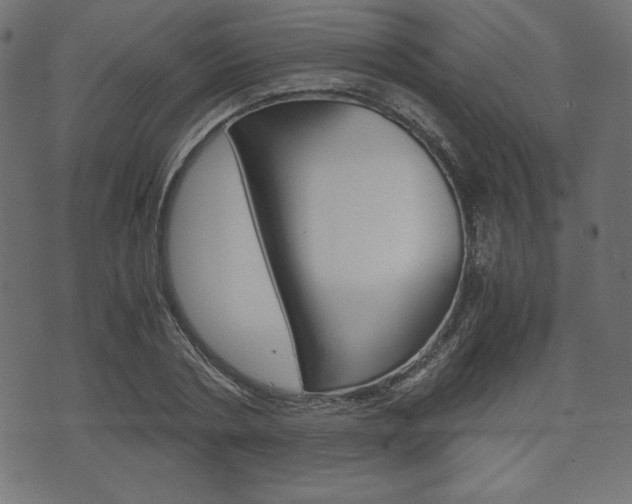 X0000071780786200606300916