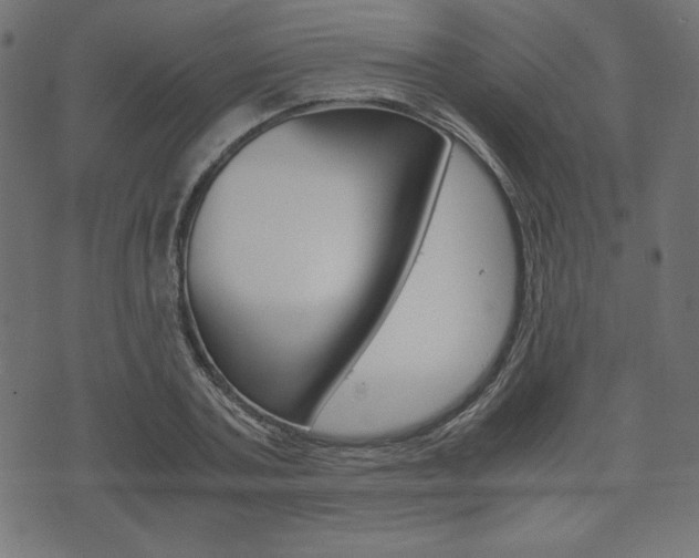 X0000071780787200606300916
