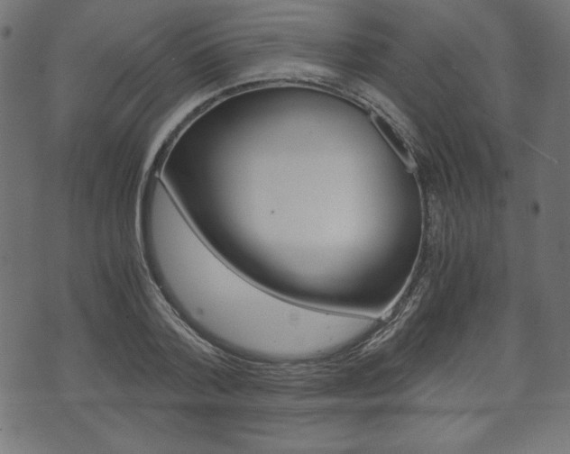 X0000071780788200606300916