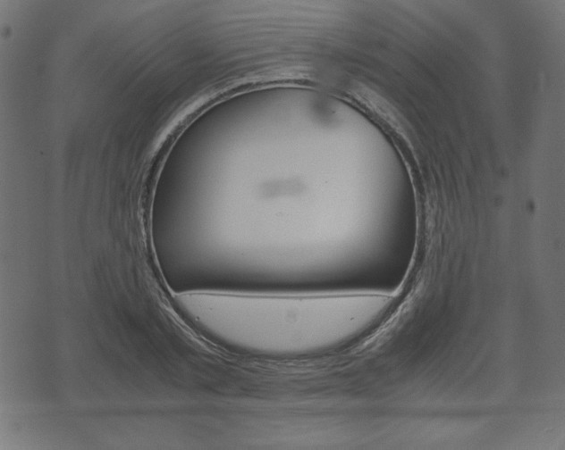 X0000071780789200606300916
