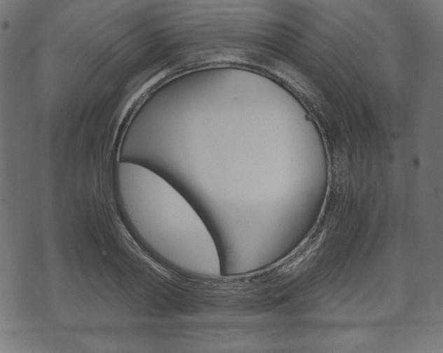 X0000071780790200606300916