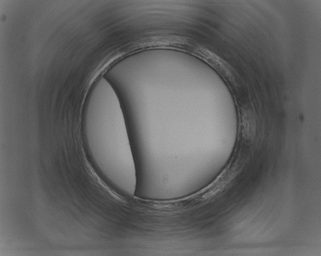 X0000071780794200606300916