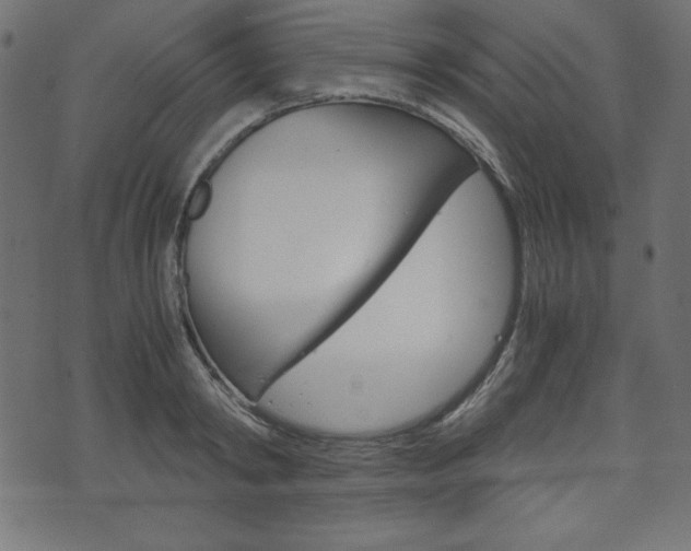 X0000071780798200606300915