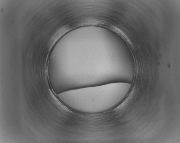 X0000071780802200606300915