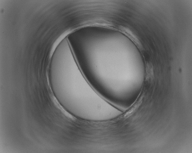 X0000071780812200606300915