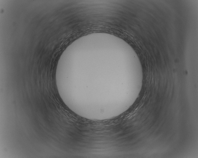 X0000071780818200606300914