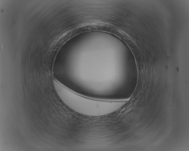 X0000071780822200606300914