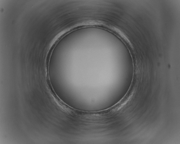 X0000071780837200606300915