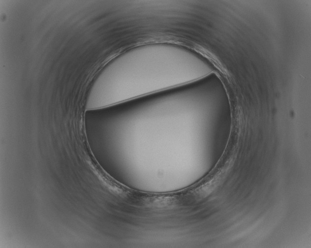 X0000071780841200606300915
