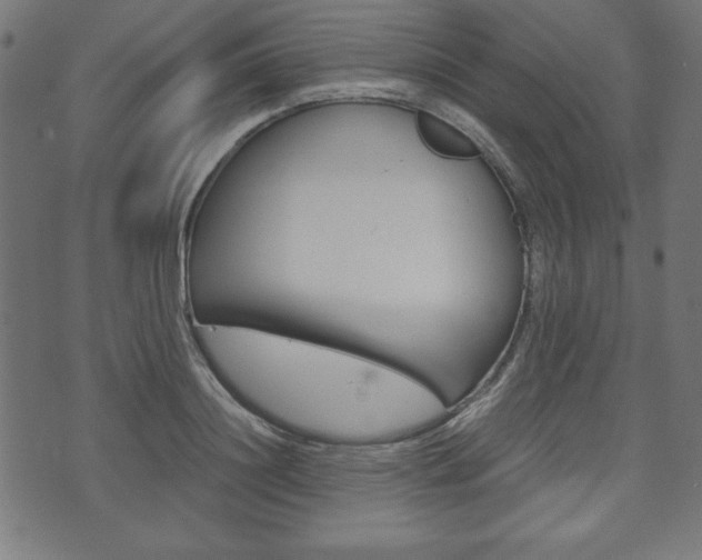 X0000071780844200606300915