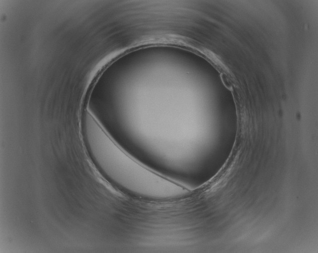 X0000071780846200606300915