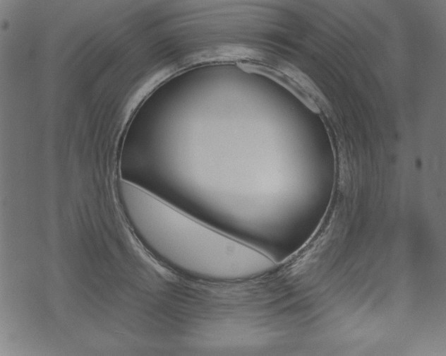 X0000071780850200606300915