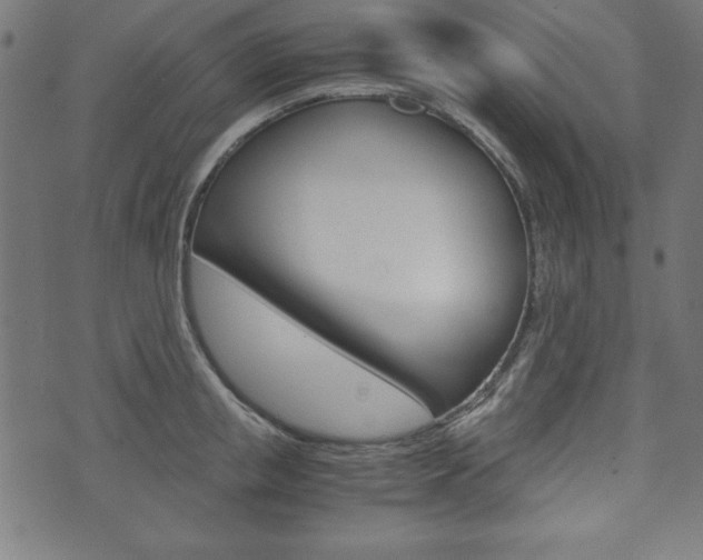 X0000071780853200606300915