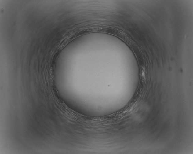 X0000071780867200606300914