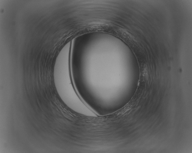 X0000071780868200606300914